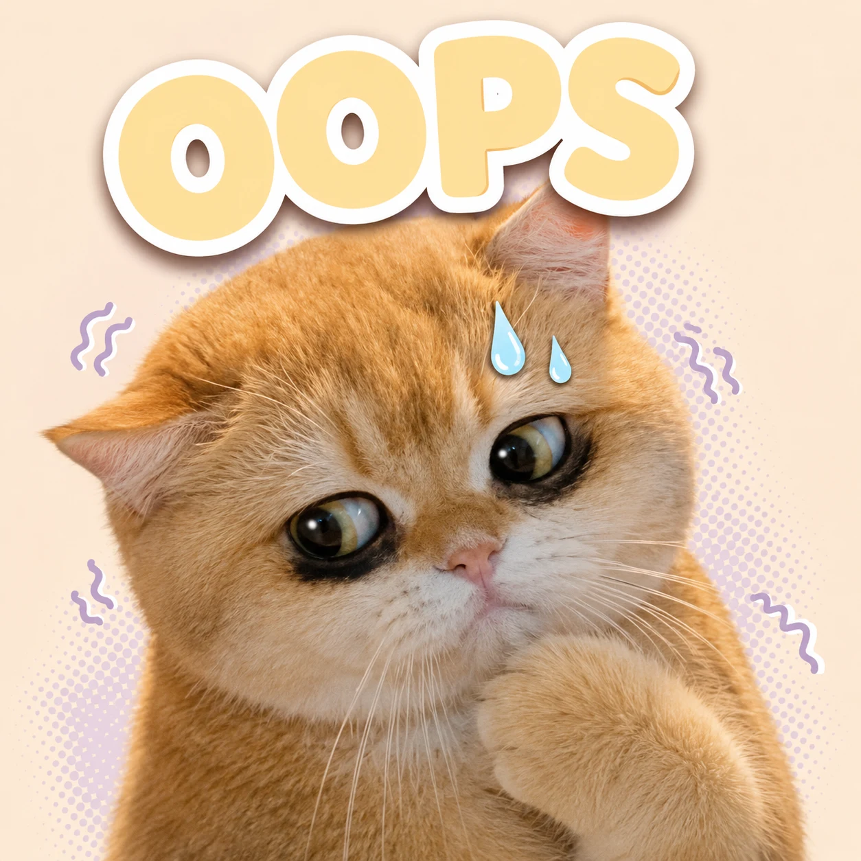 Oops cat sticker with a funny guilty expression for chat messages