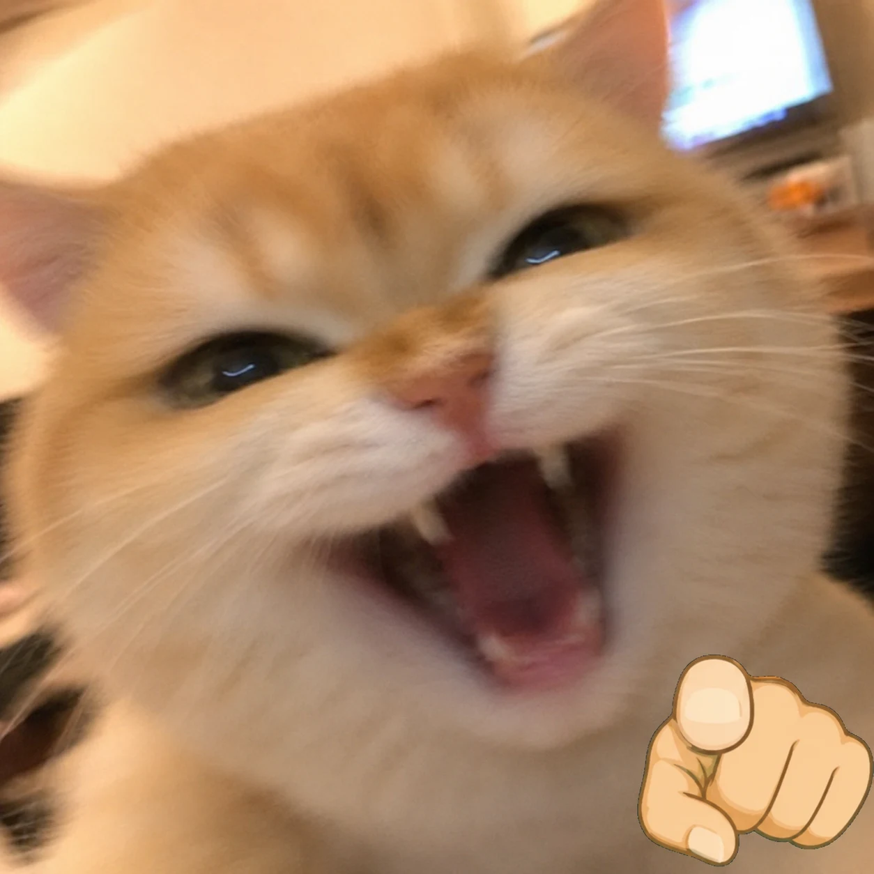 Cat’s Mocking Laugh with expressive pet reaction energy, made for stickers, memes, and social sharing